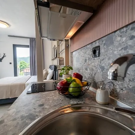 Aparthotel Olea Luxury