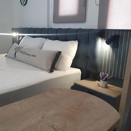 Aparthotel Olea Luxury *