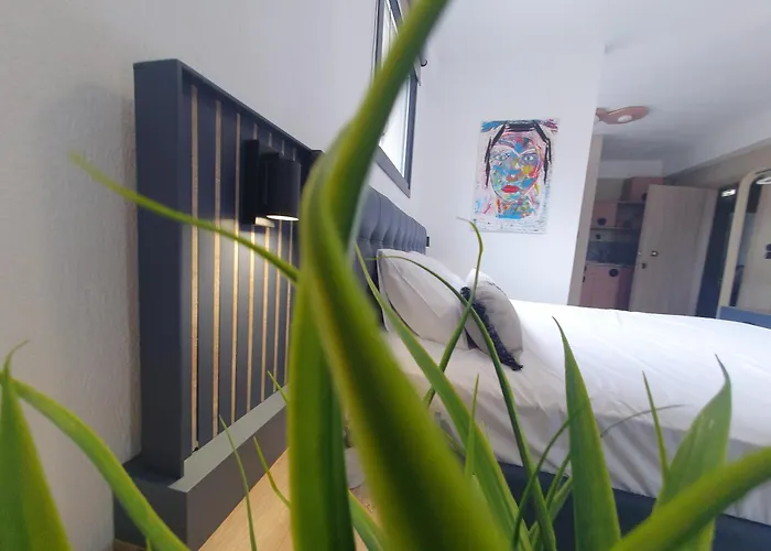 Olea Luxury Appart hôtel 3*